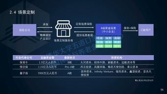 2017年中国保险科技投融资报告